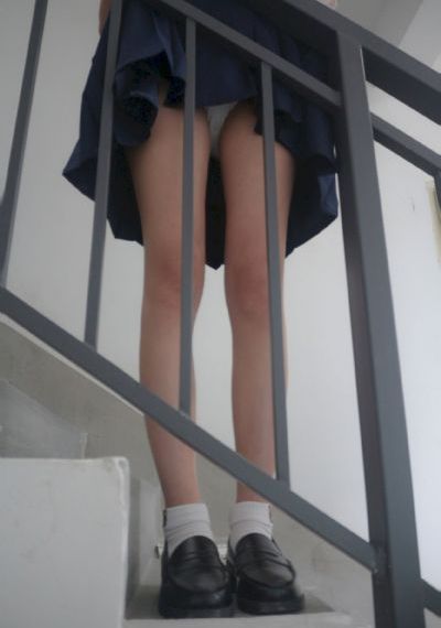 神圣使命24集全集免费观看