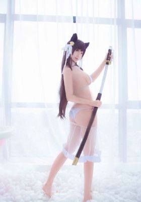 免费看剧网