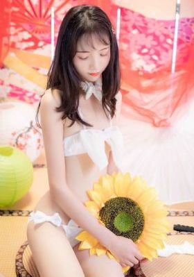 猛兽侠